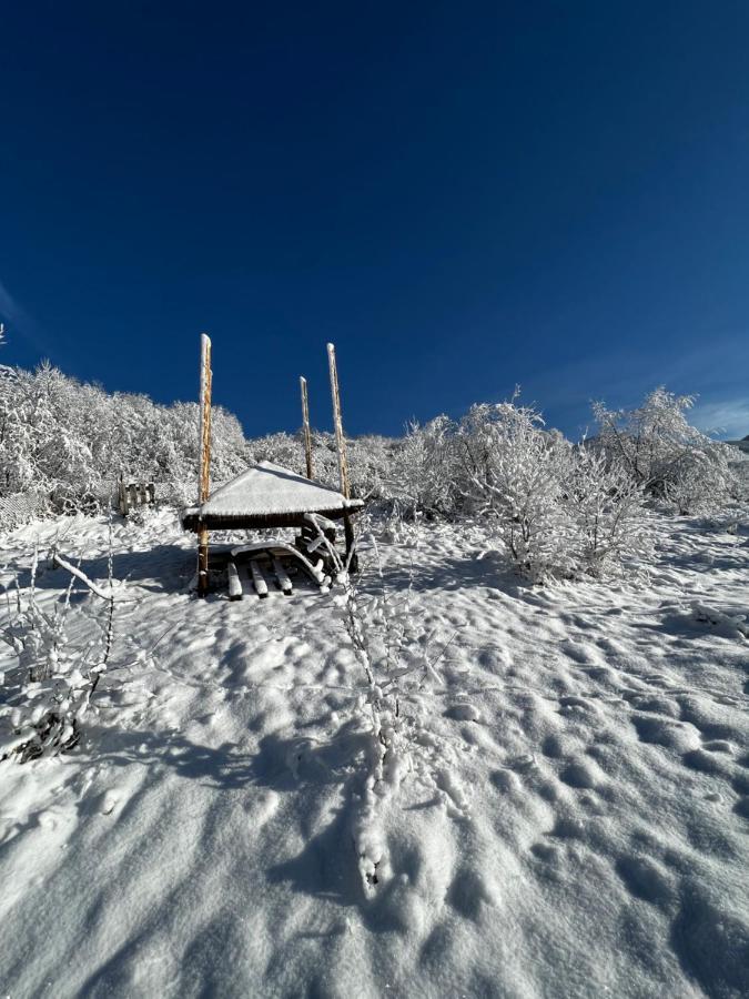 Купецький Двір Hotel Mizhhirya  Exterior photo